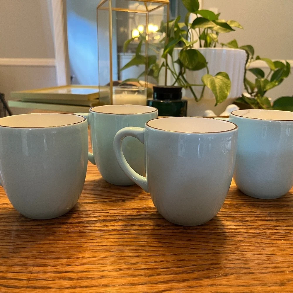 Crate & Barrel Audrey Coffee Mugs – Set of 4 (Robin’s Egg Blue)